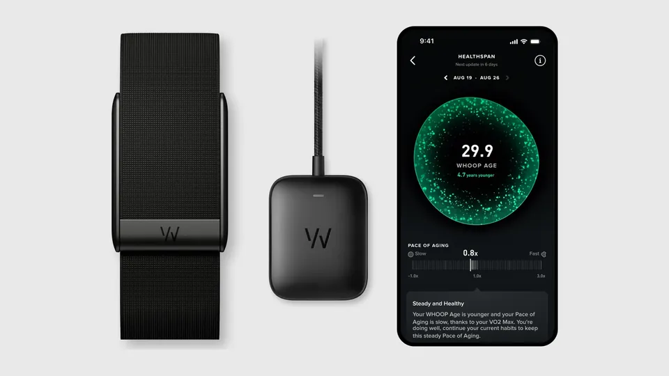 A black WHOOP band, a black charger with a braided cable and a phone showing the WHOOP Healthspan screen with a WHOOP Age of 29.9, side by side on a light gray background